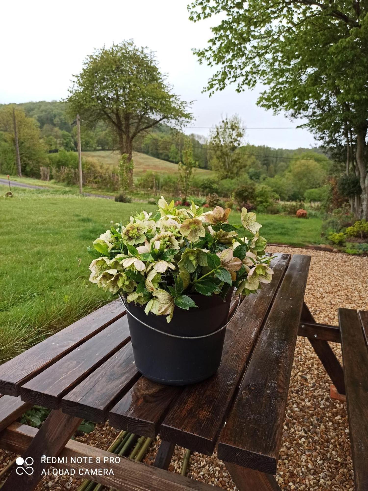 Du Perche Holiday home
